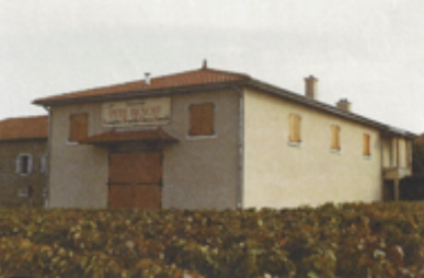 1981
