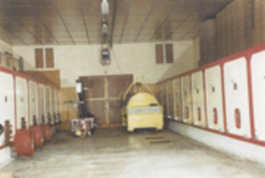 1981